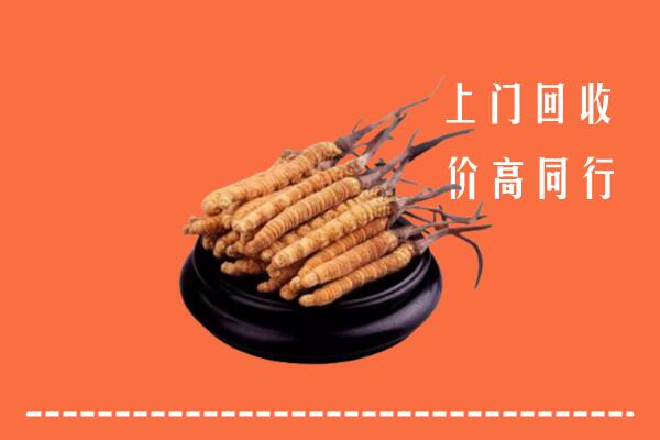 高价求购：黑河回收散虫草