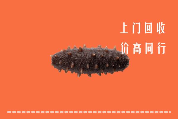 收购行情：黑河回收海参